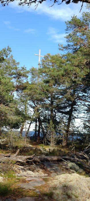 Skogsmark, kors högt bland träden, klippor, vildmark, blå himmel, klart väder, ingen människa synlig.