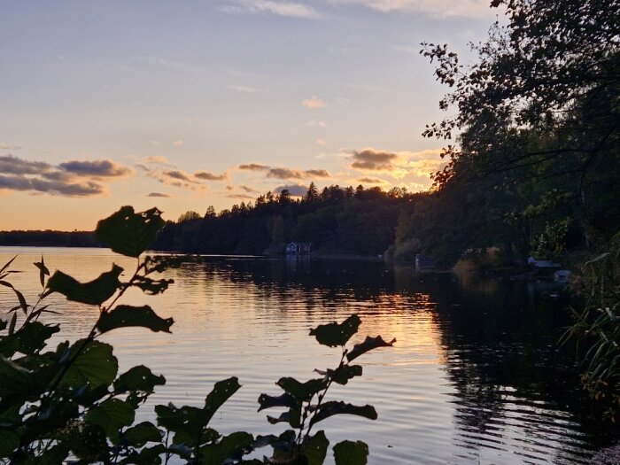 Solnedgång vid sjö med träd, reflektioner på vattenytan, lugnt landskap, båthus på avstånd.