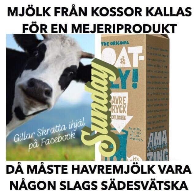 Meme som jämför ko-mjölk med havremjölk, humoristiskt ifrågasätter produktklassificering.