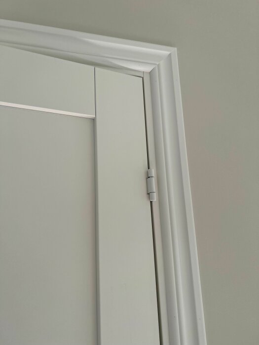 Vit dörr i profil med karm, gångjärn synliga, neutral väggfärg, enkelt, minimalistiskt, inomhusmiljö.