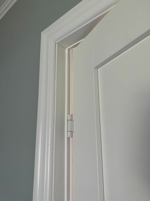 Vit dörr med skarv, silverfärgade gångjärn, grå vägg, vit dörrkarm.