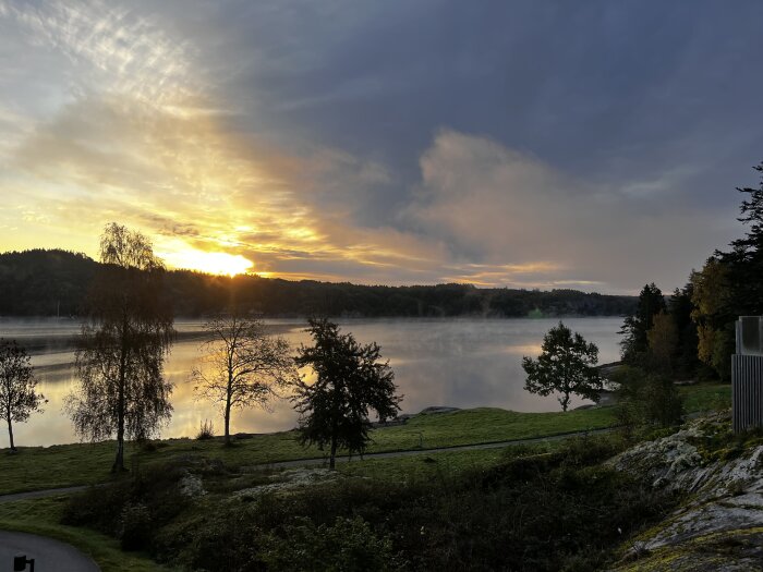 Soluppgång, dimma över sjön, reflektion, träd, moln, naturskön morgon, lugn atmosfär.