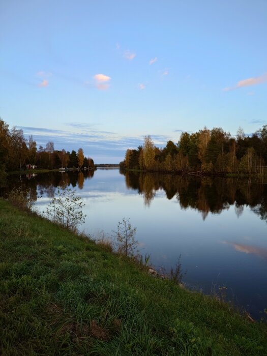 Speglad sjö, kvällshimmel, lugn, träd, natur, grönska, orörd, reflektioner, moln, fridfullt landskap.