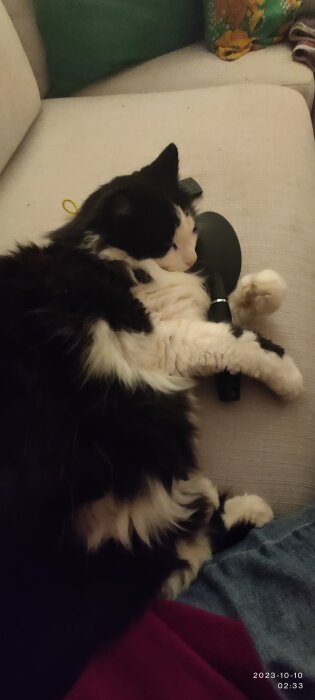 Svartvit katt sover med tassarna omkring en musformad leksak på soffa.