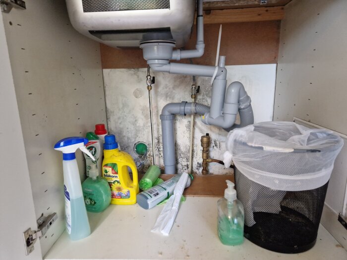 Under-sink storage area with cleaning products, waste bin, and visible plumbing. Some signs of moisture or mold.