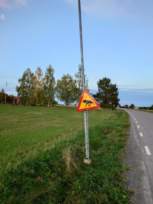 En väg, gräs, träd, ett suddigt vägmärke för vägarbete, himmel.