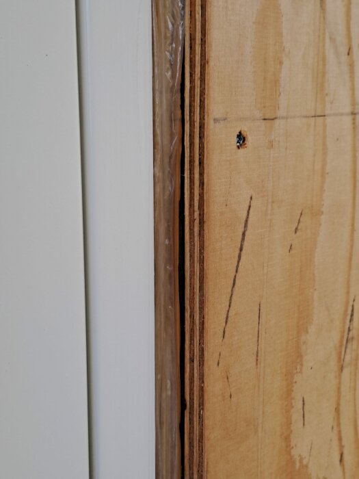 Vit dörrkarm, träpanel, en insekt, kontrast i texturer och material.