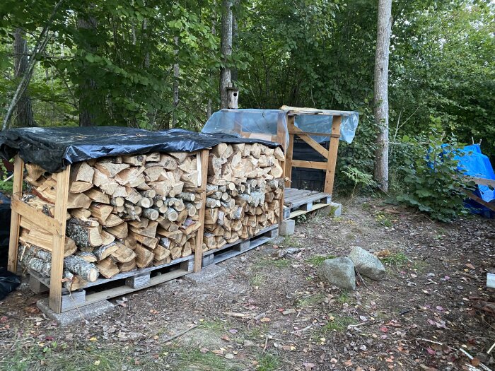 Staplade vedträn i hyllor, täckta med presenningar, i skogsmiljö, stenar på marken.