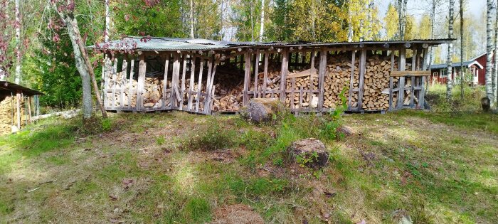 En vedbod full med vedstockar, utomhus under dagtid, omgiven av träd och natur, med ett rött hus i bakgrunden.