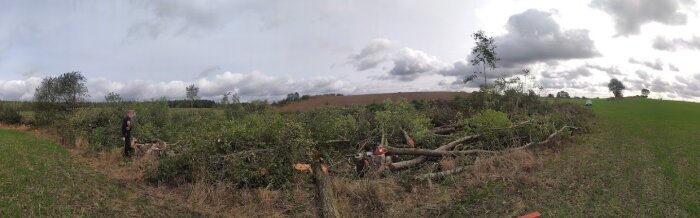 Panoramavy över landskap med person, fällda träd, molnhimmel, åkermark och grön vegetation.