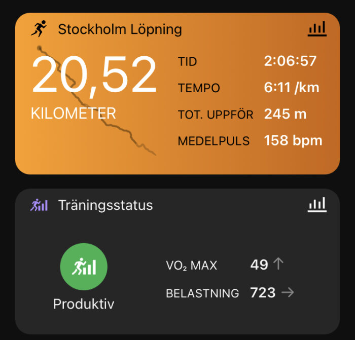 Skärmavbild av löparaktivitet: 20,52 km, tid 2 timmar 6 minuter, tempo, höjdstigning, medelpuls och träningsstatus.