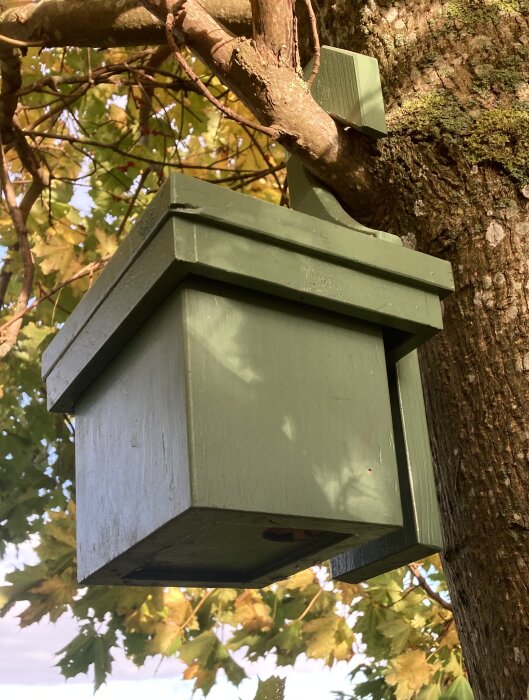 Grönmålad fågelholk upphängd på ett träd med lövverk i bakgrunden på en ljus dag.