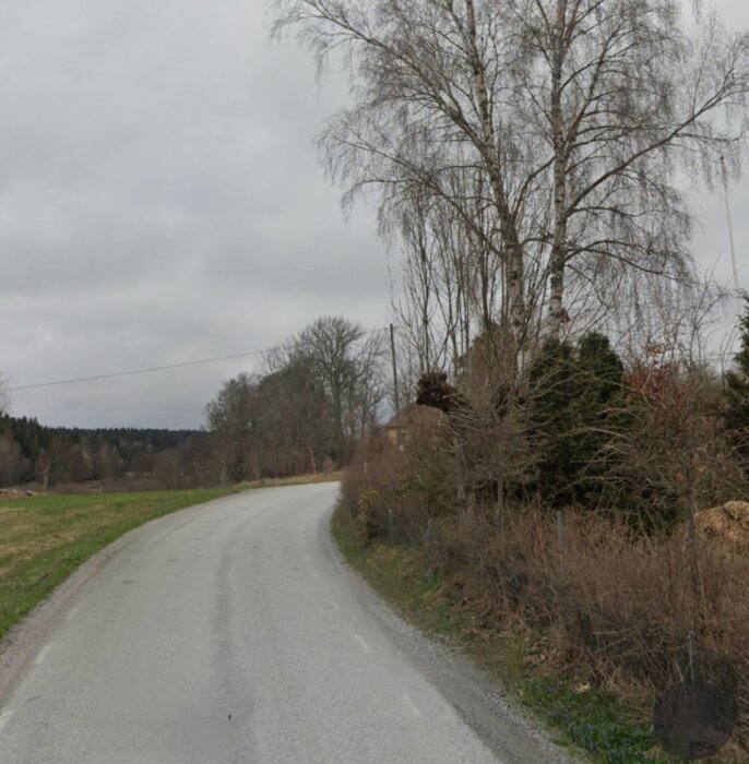 En böjd landsväg, träd, buskar, öppet fält, öde, grå himmel, natur, landlig scen.