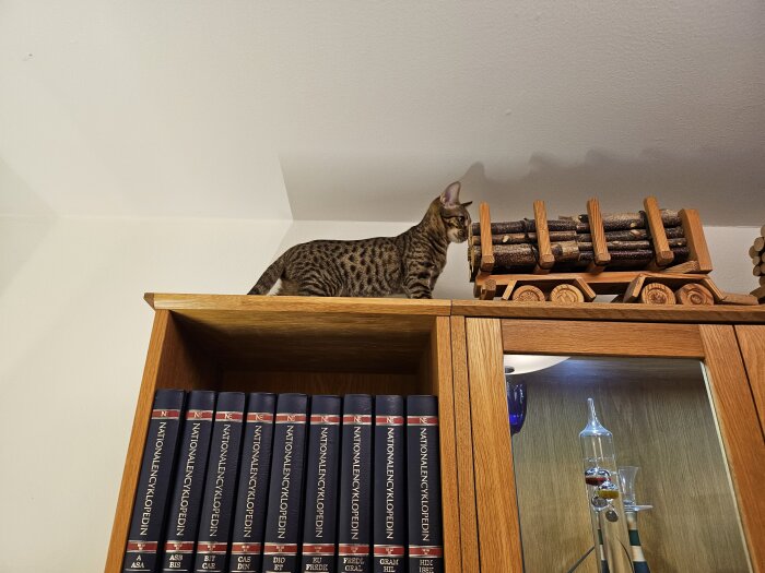 Katt sitter på bokhylla bredvid trämodell av bil och böcker.