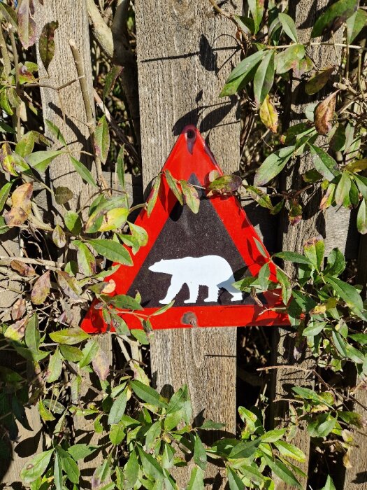 Röd varningsskylt med björnsilhuett på trästaket, omgiven av gröna blad.