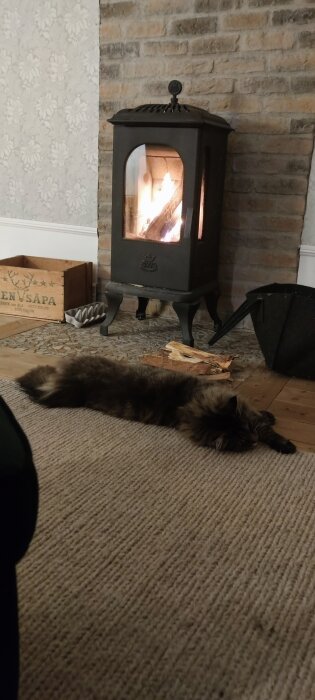 Katt slappar framför en brinnande kamin på en matta inuti ett hus.