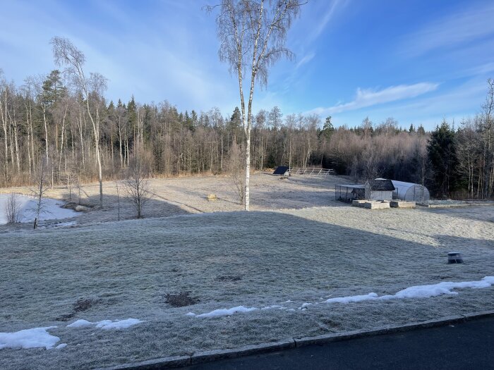 Delvis snötäckt gräsmatta, vinter, soligt, klart väder, träd, växthus, och friluftsscen i bostadsområde.