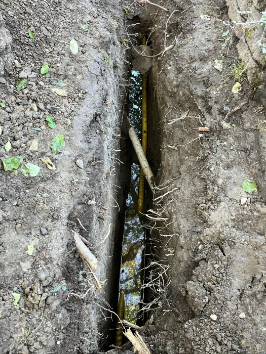 Smal grävd ränna i jord avslöjar vattenledningsrör, rötter genomskär bildens mitt, jord och löv syns.