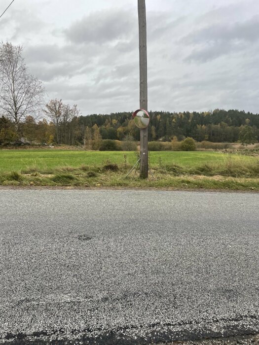 Landsväg, trafikspeglad stolpe, gröna fält, skog, mulet himmel.