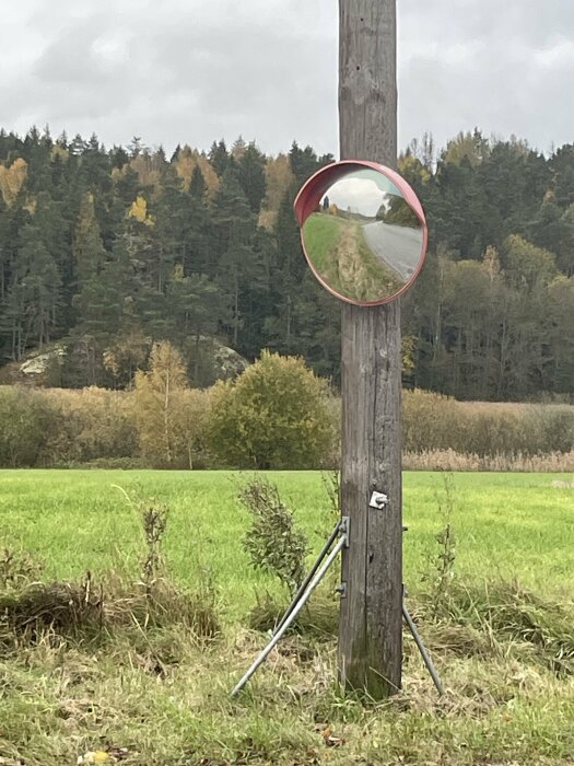 Konvex trafikspegel på stolpe vid väg, reflekterar skog och landsväg, gråmulen dag, grönt fält i förgrunden.