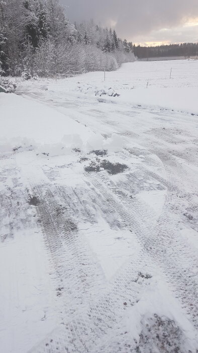 Snötäckt landsväg med hjulspår, omgiven av snöklädda träd och grå himmel.