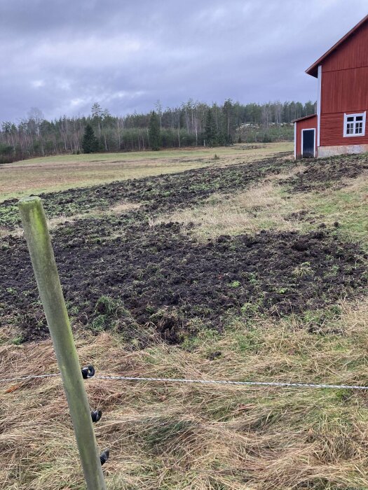 Röd ladugård, uppbörd mark, staketstolpe, öppet landskap, grå himmel, barrskog i bakgrunden, ingen snö.