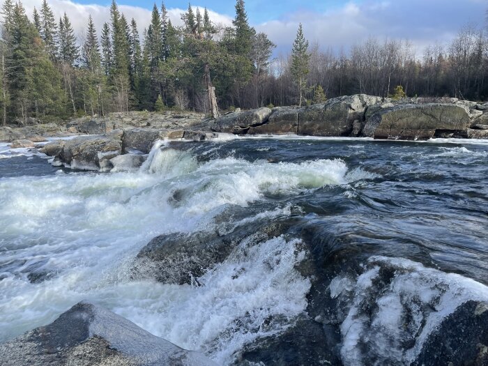 Strömmande fors, klippor, skog, delvis molnig himmel, ingen människa synlig, natur, vildmark, kyligt väder.