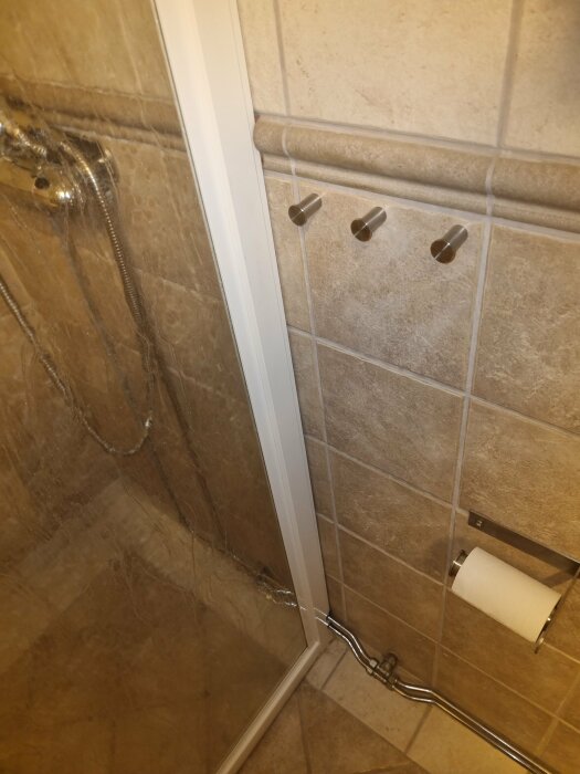 Duschhörna med glasdörr, beige kakel, duschslang på golvet, knoppar på vägg, toalettpappershållare.