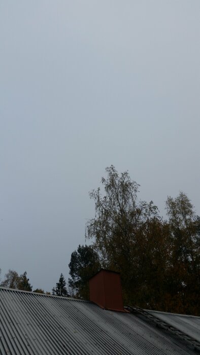 Grå himmel över vågig metalltak med skorsten, träd i bakgrunden. Höst, dimmigt väder, dämpade färger.