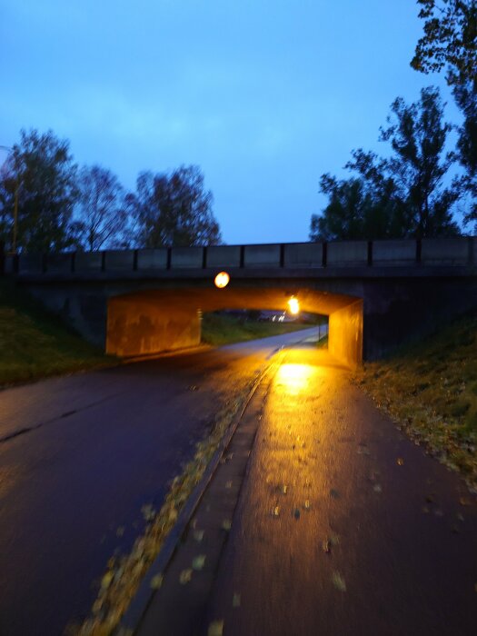 Tunnel under en järnvägsbro, kvällsljus, höstlöv på väg, suddig, belysning, tidig kväll, ingen person synlig.