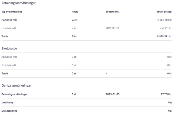 Skärmdump av ett dokument som sammanfattar betalningsanmärkningar och skuldsaldo på svenska.