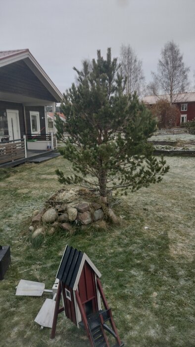 Trädgård med barrträd, stenring, gräs med frost, röd lekstuga, hus och grå himmel.