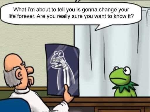 Serieteckning, karaktär liknande Kermit och person, X-ray bild av Muppets-karaktär, konversation om livsförändrande information.