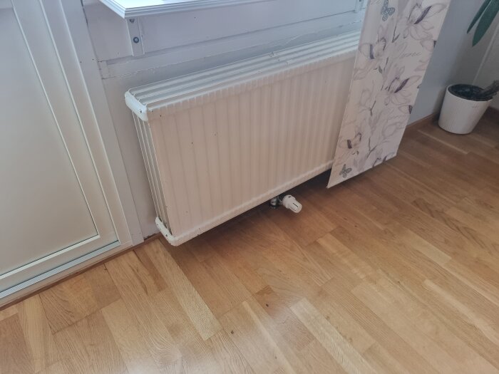 Väggmonterad radiator, trägolv, del av blommig skärm, växtpotta, vit fönsterkarm.