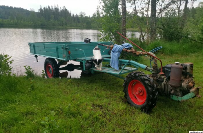 Gammal traktor med släpvagn vid sjö, hund på flaket, frodig natur, molnig dag.