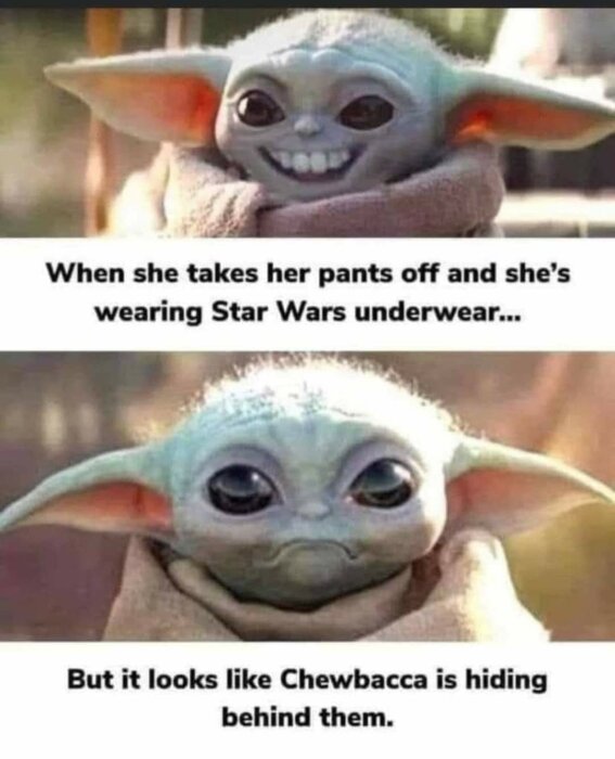 Två bilder på Baby Yoda med humoristisk text om Star Wars-underkläder som liknar Chewbacca.