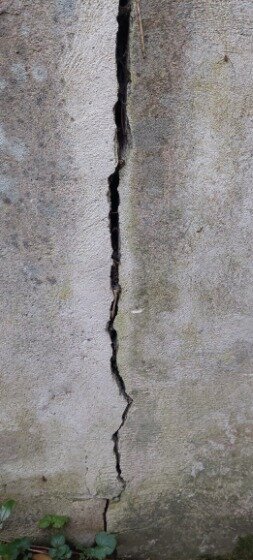Vertikal spricka i betongvägg, tecken på strukturell skada, lite vegetationsväxt vid basen.