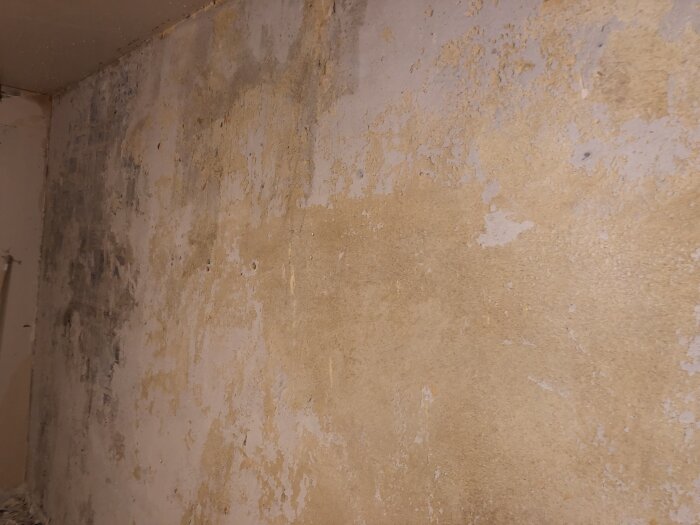 Fuktskada, mögel och flagande färg på en gammal vägg i inomhusmiljö. Renoveringsbehov verkar uppenbart.