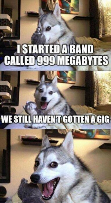 Hund gör ordskämt om bandnamnet "999 Megabytes", spelar inte än ("gotten a gig").