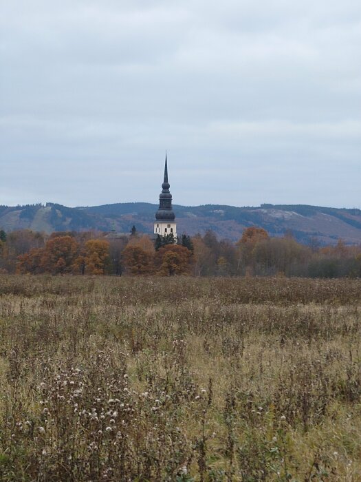 En kyrka med högt torn omgiven av höstlandskap och överväxt äng under molnig himmel.