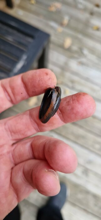 Hand håller förbränd, smält objekt, troligen metalldel, mot träbakgrund. Skitiga fingrar synliga.