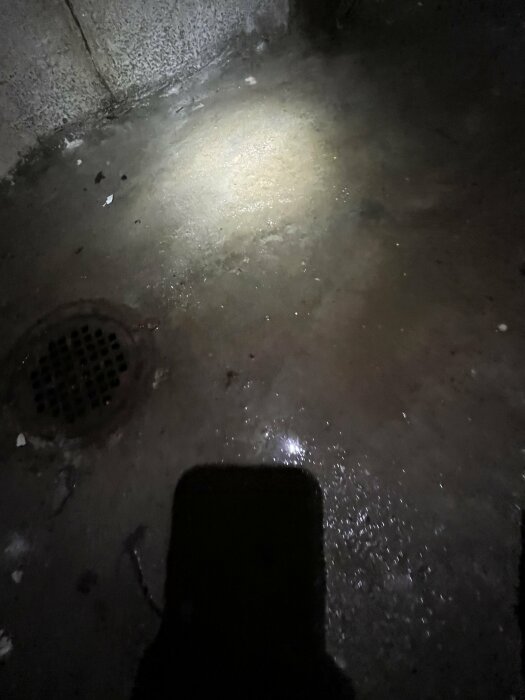 Mörkt utrymme, betonggolv. Reflekterande ljusfläck. Galler i golv. Skugga av person fotograferar. Möjlig källare eller tunnel.