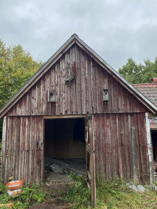 Gammalt rödfärgat träskjul, öppna dörrar, förfallet, grönska, disigt väder.