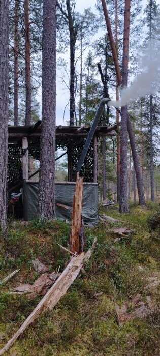 Skog, friggebod, vedeldad kamin, rök, trädstammar, mossig mark, skymning, ingen person synlig.