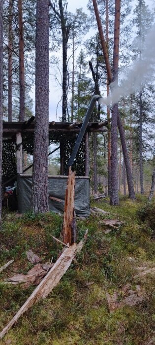 Splittrad stolpe, skog, rök, vedskydd och träd - tecken på utomhusliv och eventuellt värme.