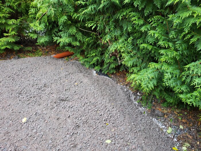 Hög med grus, ensam tegelsten, gröna barrträd, dagen efter regn, natur möter konstruktion.