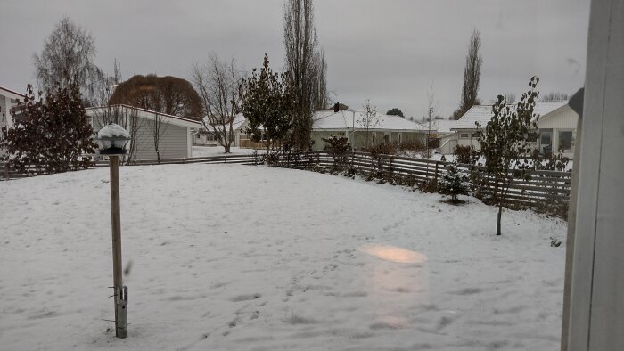 Ett snöbedeckt bostadsområde med träd, ett fågelfoderhus och molnig himmel.