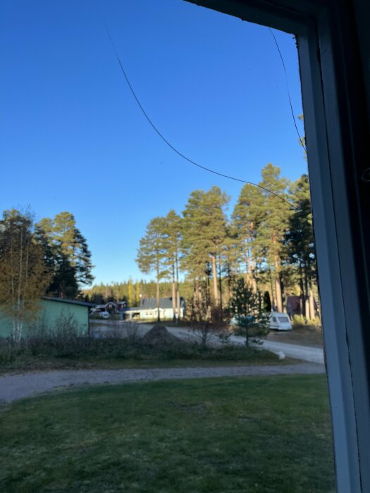 Utsikt från ett fönster visar träd, himmel och byggnader på en klar dag.