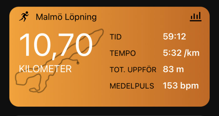 Skärmavbild från löparapp som visar statistik för en 10,70 kilometer lång löptur i Malmö.