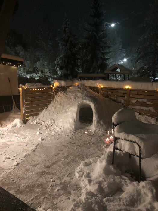 Snötäckt trädgård med igloo, belysning, träd, och ett snöigt tak.